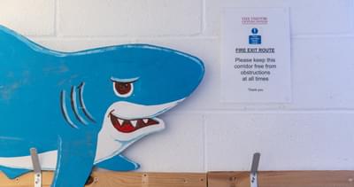A model shark sits next to a fire exit sign
